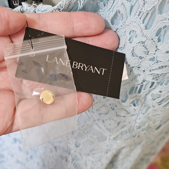 NWT Lane Bryant lace lined dress sz 22 - Picture 9 of 11